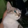 k3ntung29_
