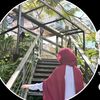 jewelahmed9509