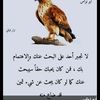 user7657834738160