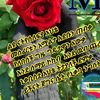 zakir.abdi5