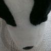 wolfie1609