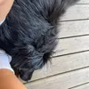 santi_vz23