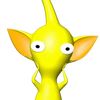 shloroni