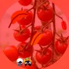 user7465004923128