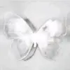 account_gabutt2