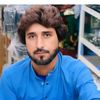 majid.gorgij8508