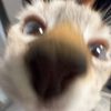 gloobgoobloob