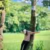 fx.shoidul