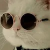 lff7747