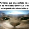 chinvi17