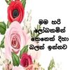 ranil.aravinda5