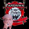 pandawa