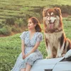 Mật Pet Coffee - HCM