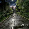 user4217760982054