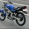 feriferi9811