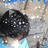 zaki37426