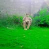 Rehan ullah 786