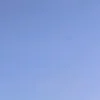 nikoniko2525p