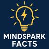mindspark47