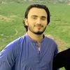 shan.afridi34
