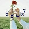 waseem.ullah1717