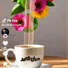 suad.ahmed300