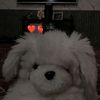 user5909742569408