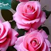 user99334348069