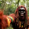 bujubigfoot