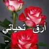 user5943704600193