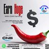 chillifoundation