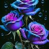 user352800823776