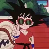 goof_collects