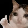 kitkat_croustillant