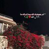 user885076166672