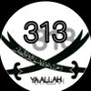 anar_.313_