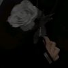 user1304791920565