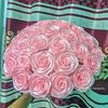 asif.rayhan46