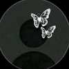 s_ali281