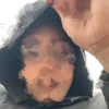 gab_44z5
