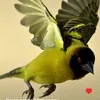 user.eva_009