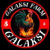GALAKSI FARM🐓