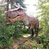 tyrannosaurs8