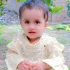 m.safdar3806