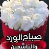 mariamahassan51