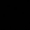 mni_0010