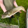 swh.fishing