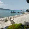 albifito20