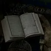 nouaji.farida