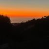 lamitta_277